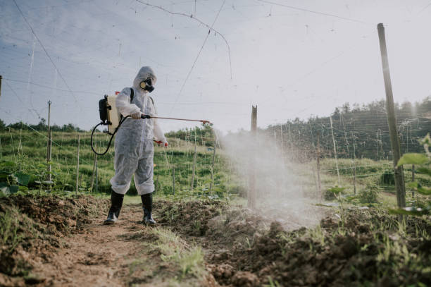 Best Mosquito Control Services  in Briarcliff, TX