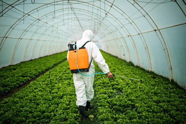 Reliable Briarcliff, TX Pest Control Solutions