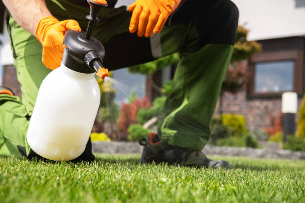 Best Pest Inspection Near Me  in Briarcliff, TX