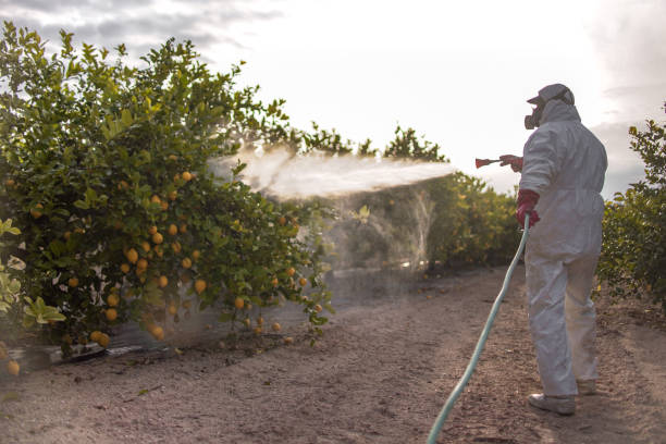 Best Commercial Pest Control Services  in Briarcliff, TX
