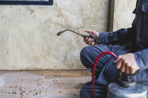 Best Local Pest Control Services  in Briarcliff, TX